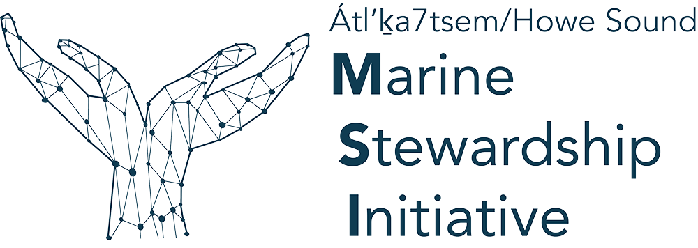 Marine-Stewardship-Initiative