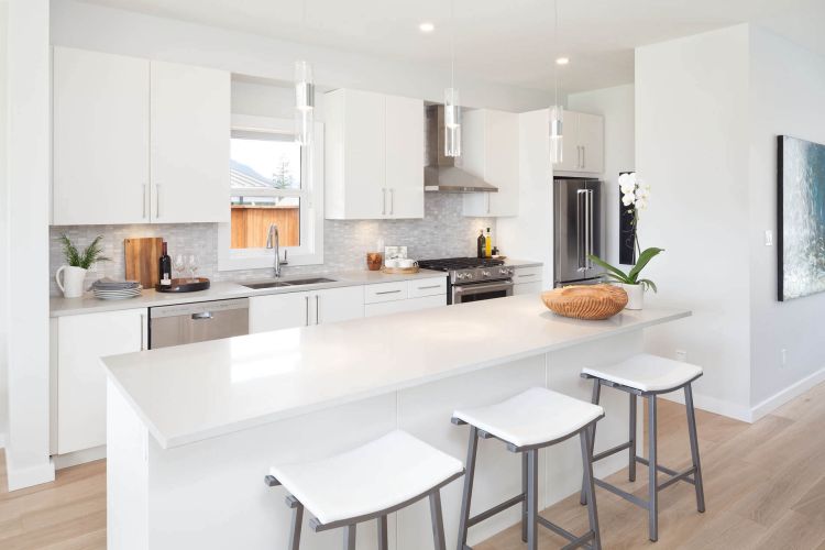 Squamish Townhouse and Duplex for Sale in Squamish Skyridge